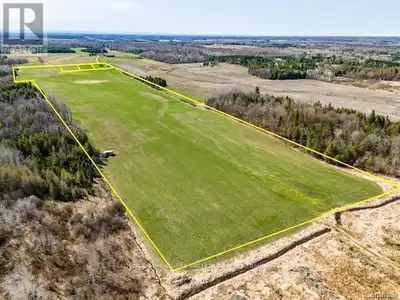 51-Acre Agricultural Land with 39 workable acres and additional acreage that can be made productive....