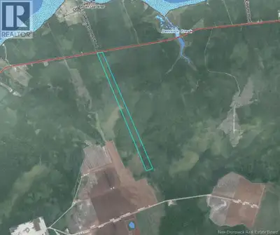 If youve been looking for a solid-sized piece of land with direct highway access in the Bay du Vin a...