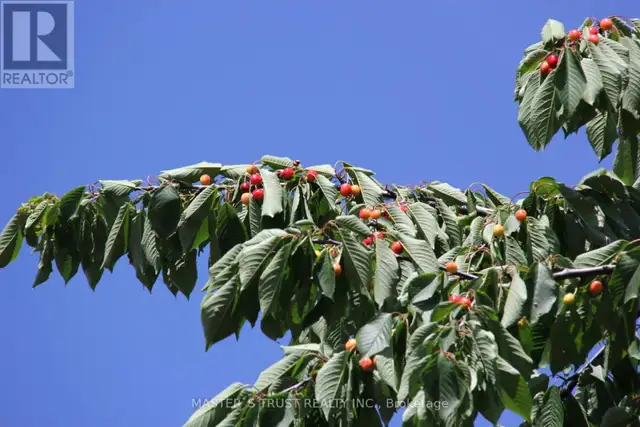 623 O' CONNOR DR DRIVE Toronto (East York), Ontario in Houses for Sale in City of Toronto - Image 6