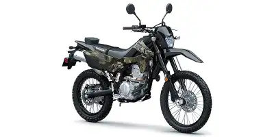 Engine Type: Single-Cylinder Displacement: 17.8 cu. in. (292 cc) Bore and Stroke: Bore: 3.07 in. (78...