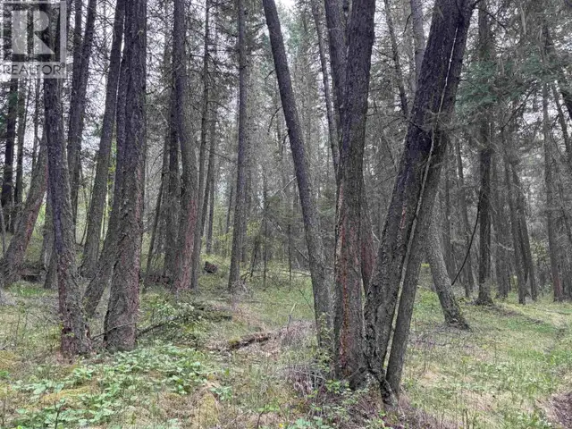 550 DOG CREEK ROAD Williams Lake, British Columbia in Land for Sale in Williams Lake - Image 6