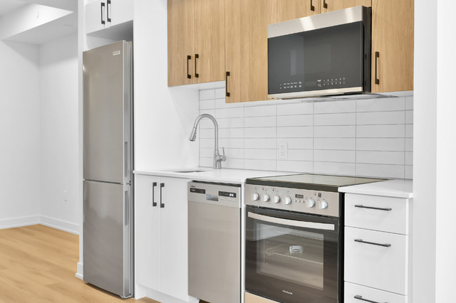 88 Beechwood - Bachelor Suite for Rent in Vanier in Long Term Rentals in Ottawa - Image 3
