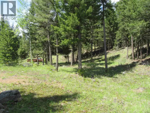 LOT 4 N BONAPARTE ROAD Bridge Lake, British Columbia in Houses for Sale in 100 Mile House - Image 22