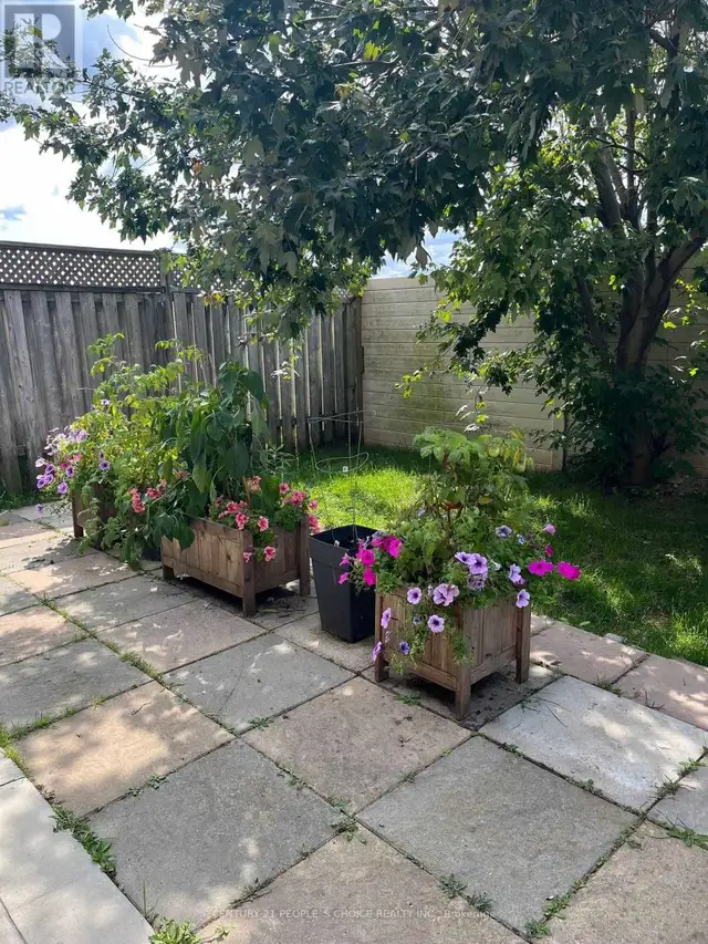 383 JAY CRESCENT Orangeville, Ontario in Long Term Rentals in Oakville / Halton Region - Image 20