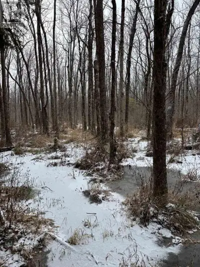 Fantastic, affordable, recreational property for the nature and hunting enthusiasts. Great place to...