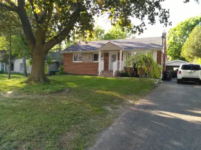 Furnished basement for a female or two females to rent a spacious private room but share kitchen and...