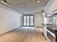 Studio Condo Apartment for rent-Centre-ville Montréal