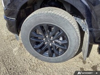 This Ford F-150 delivers a Regular Unleaded V8 5.0 L engine powering this Automatic transmission. Wh... (image 9)