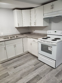 Utilities included in this 2 Bedroom Basement Apartment @ 700 In