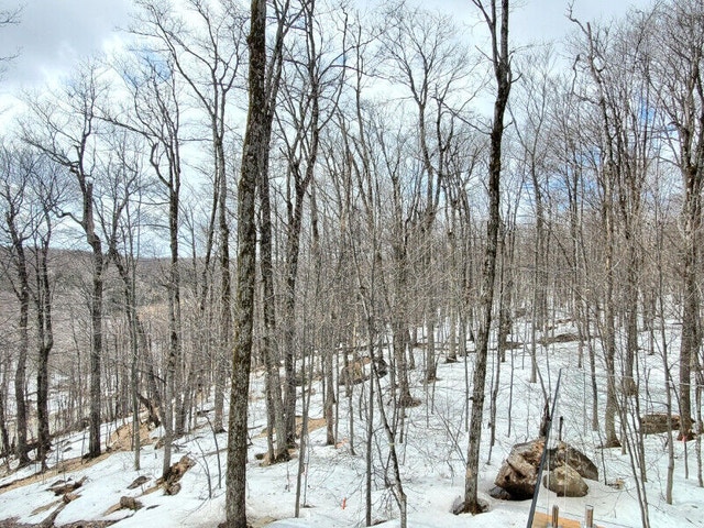 Terrain à vendre Blue Ridge Morin-Heights — photo 3