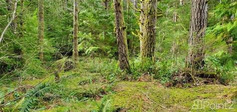 Block A Village Bay Lake in Houses for Sale in Campbell River - Image 4