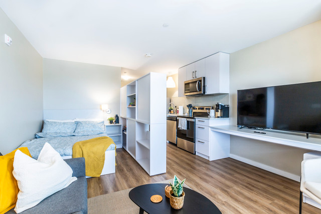 Studio apartment Kitchener | June 2024 | Kitchener in Long Term Rentals in Kitchener / Waterloo