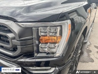 Recent Arrival! 2022 Ford F-150 XLT Carbonized Gray Metallic 302A XLT SPORT PKG 360 Degree Camera Na... (image 6)