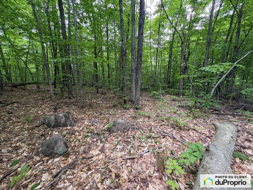 $160,000 - Residential Lot for sale in Ste-Julienne — photo 2