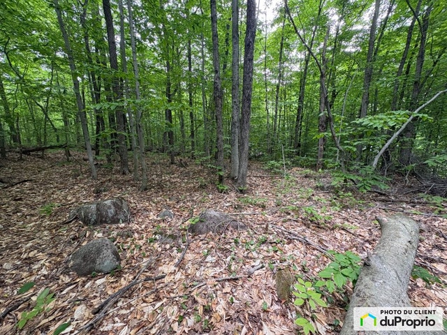 $160,000 - Residential Lot for sale in Ste-Julienne — photo 2