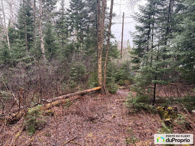 $250,000 - Residential Lot for sale in Ste-Agathe-Des-Monts — photo 3