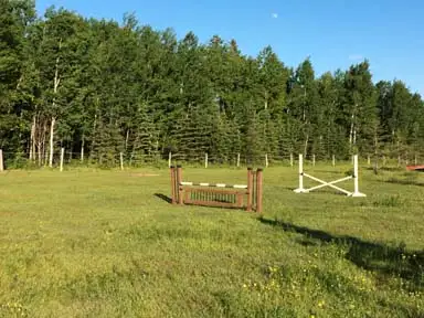 Horse Boarding Callander Area in Equestrian & Livestock Accessories in North Bay - Image 8