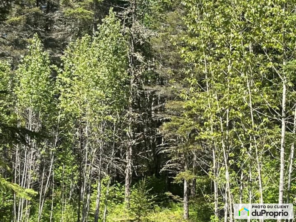 $47,000 - Price taxes not included - Residential Lot for sale — photo 3