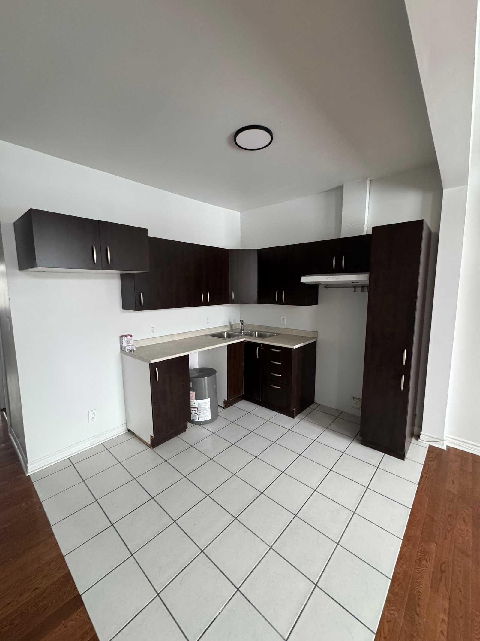 282 rose de lima — photo 3