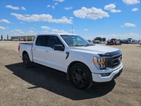 Michener Allen Auctioneering Ltd ( PV ) - Edmonton HIGH BID SUBJECT TO SELLERS APPROVAL CARFAX REPOR... (image 1)