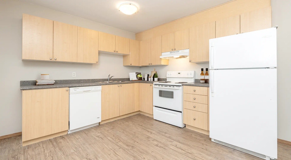 Pet-Friendly One Bedroom One Bath with In-suite Laundry for Rent 4