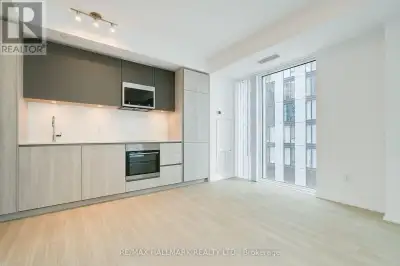 4005 - 8 WIDMER STREET Toronto (Waterfront Communities), Ontario