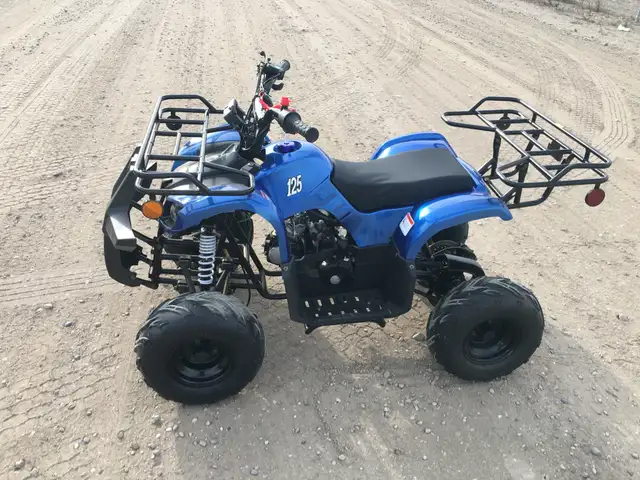 2025 BRAND NEW GIO BLAZER 125 ATV / QUAD / in ATVs in Brandon - Image 19