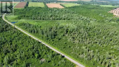 Welcome to this 14 acre parcel on Strathcona Road in Forest Hill. This parcel is treed with a stream...
