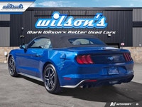 Look at this certified 2022 Ford Mustang EcoBoost Premium Convertible | Manual | 101A Group | Active... (image 2)