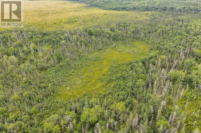 TBD Canada Hill Road Allendale, Nova Scotia in Land for Sale in Yarmouth - Image 25