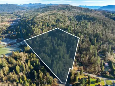 Court-Ordered Sale ~ This 23.90-acreage is perfect for a Visionary. Build your estate house on this...