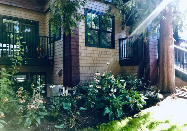 Gertie's House (1 Bedroom + Den) in Long Term Rentals in Vancouver - Image 4