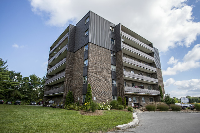 Tillsonburg 2 bedroom Apartment for Rent: ! in Long Term Rentals in Norfolk County - Image 4