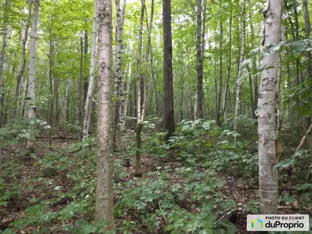 $145,000 - Price taxes not included - Wood Lot in St-Cuthbert in Land for Sale in Laval / North Shore - Image 5