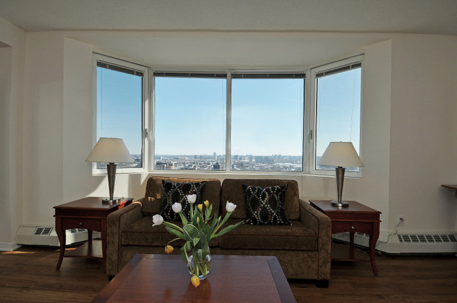 Furnished Studio apartment  - $1750  AVAILABLE June 1st #1312 in Long Term Rentals in Ottawa