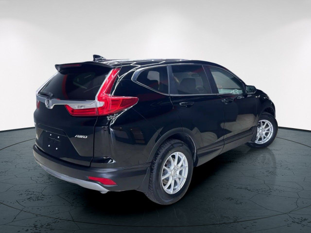 2019 Honda CR-V in Cars & Trucks in Edmonton - Image 3