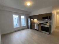 Welcome to 29 Metcalf Street – Modern Living in the Heart of the Saint John New Brunswick Preview