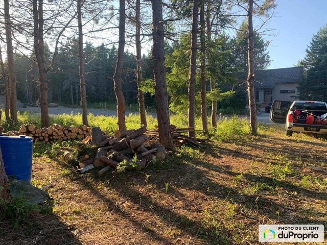 $84,000 - Residential Lot for sale in Pabos — photo 3