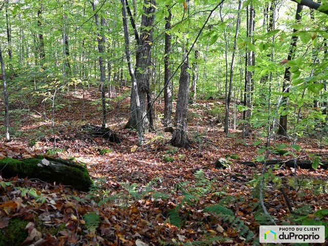$325,000 - Residential Lot for sale in Sutton — photo 2