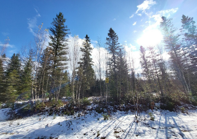 Des Lys - TERRAIN À VENDRE dans Terrains à vendre  à Lanaudière