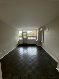 1 Bed, 1 Bath, Air-Conditioned, Recently Renovated Kitchen with Stainless Steel Appliances, Amazing... (image 4)