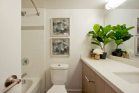 Live well at Main Square Apartments; perfectly located at Danforth and Main, surrounded by convenien... (image 5)