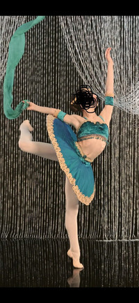 Ballet Tutu - 2 Piece