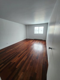 Plus de choix, plus de confort, à portée de main ! Découvrez nos locations d'appartements adaptées à... (image 5)