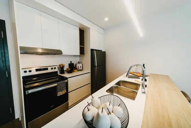 Terrasse Boisjoli - Modern 1 Bedroom Unit Apartment for Rent in Long Term Rentals in Winnipeg - Image 3