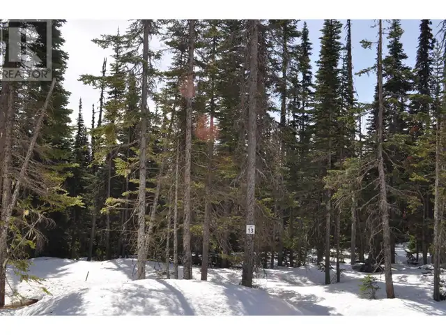 Pr. St Lt 13 ALPINE WAY Smithers, British Columbia in Land for Sale in Smithers - Image 2