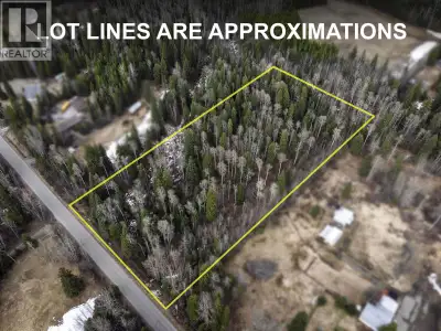 Escape the hustle and bustle and embrace the peace and privacy of this stunning 4.74-acre treed prop...