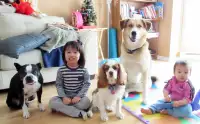 pension / gardien / gardiennage pour chien en milieu familiale