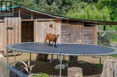 Small Farm Opportunity in Meadow Wood – Qualicum Beach, BC Are your clients dreaming of starting the...