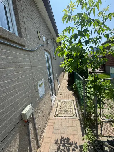 Basement for rent